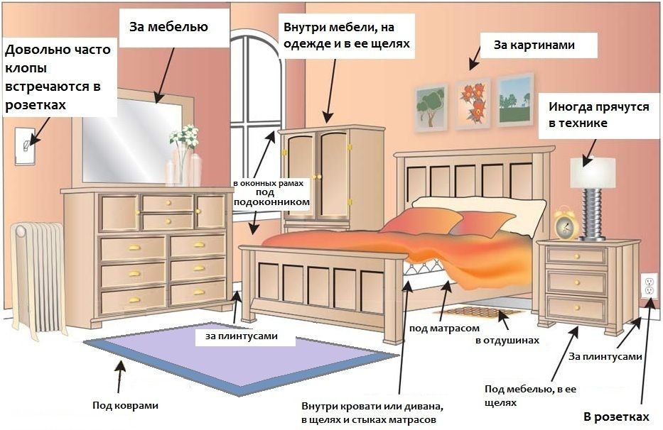 Обработка от клопов квартиры в Иркутске